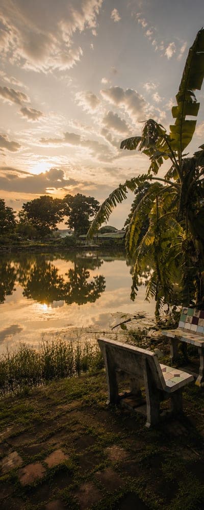 A pond and tree with a Thai stone table and two benches at Valaya Alongkorn Rajabhat University, Pathum Thani.